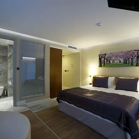 Taba Luxury And Hotel