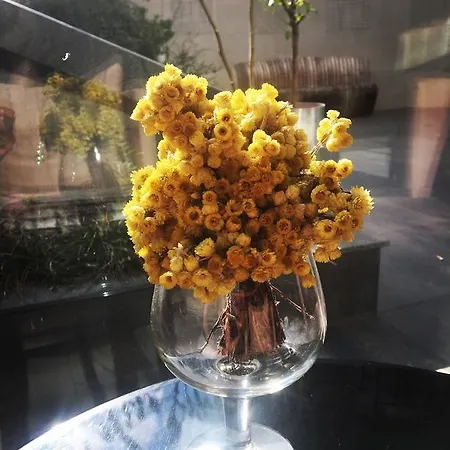 Taba Luxury And Hotel Istanbul